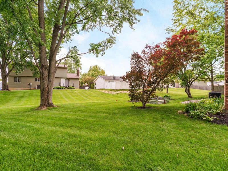 6629 Olivetree Court, Reynoldsburg, OH 43068 Photo 38