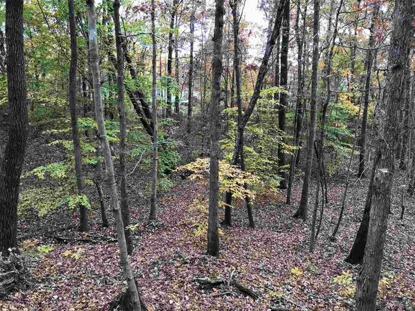 20 COUNTRY WOODS DR, Selmer, TN 38375