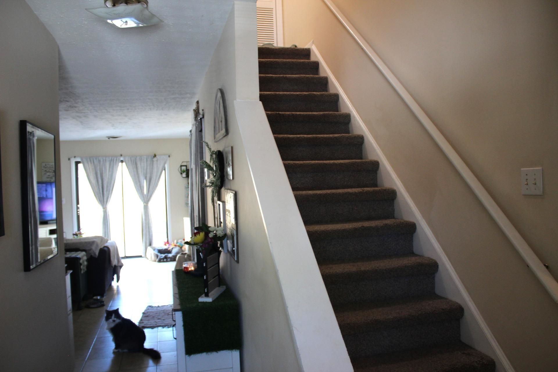 1025 Carolina Rd.  Photo 4