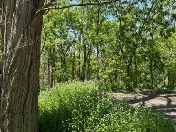 XXX S Adams Street , Saint Croix Falls, WI 54024