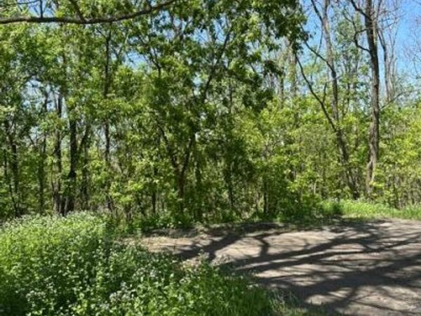 XXX S Adams Street, Saint Croix Falls, WI 54024