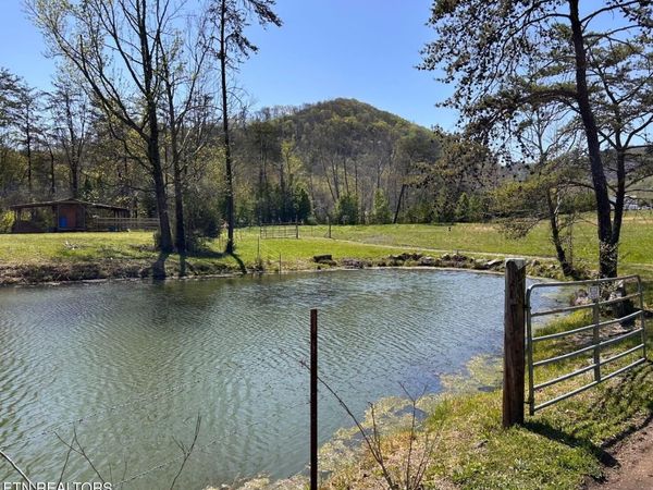 275 Republican Hill Rd, Newcomb, TN 37819