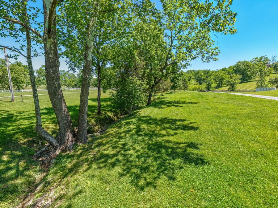 Property Image 86