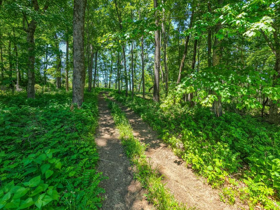 Property Image 100