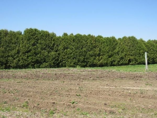 Valley Court , Unit Lot #7, Monticello, IA 52310