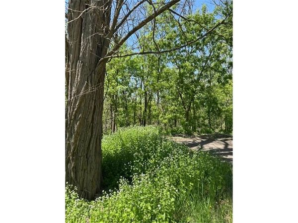 XXX Adams Street, Saint Croix Falls, WI 54024