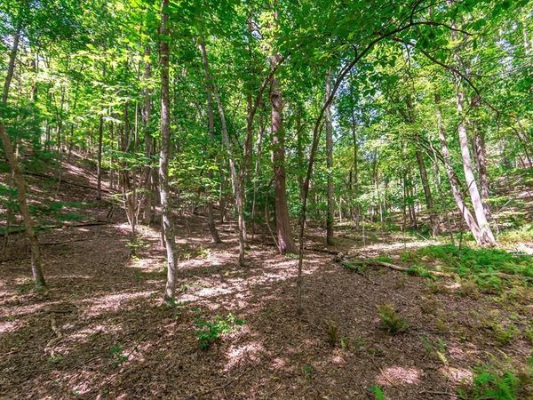 Lot 22 Meadow Brook Trail, Morganton, GA 30560
