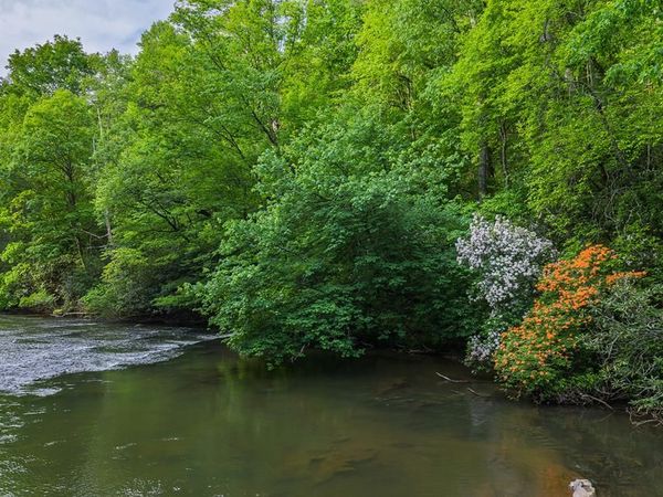 Lot 171 Shenendoa Drive, Ellijay, GA 30540