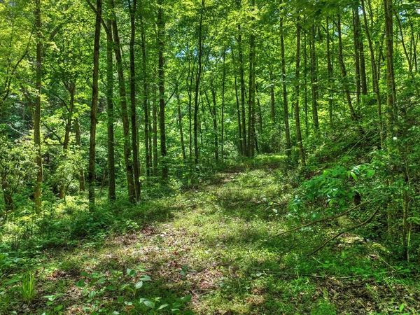 Lot 106 Mountain Creek Hollow Drive, Talking Rock, GA 30175