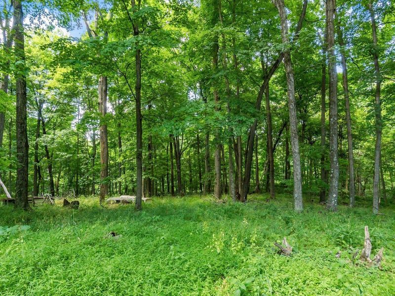 13807 Marshall Road, Rockbridge, OH 43149 Photo 15