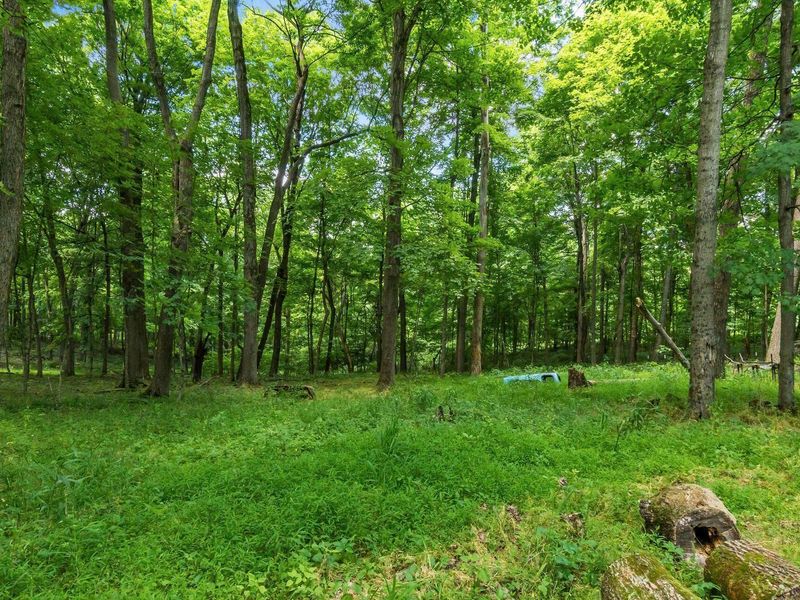 13807 Marshall Road, Rockbridge, OH 43149 Photo 17