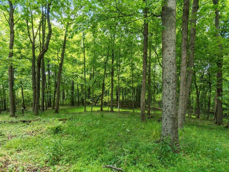 13807 Marshall Road, Rockbridge, OH 43149 Photo 18