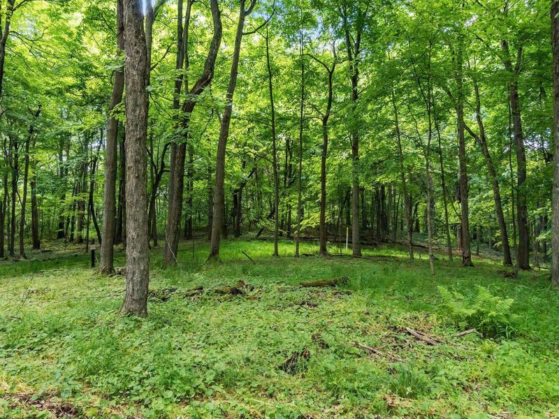 13807 Marshall Road, Rockbridge, OH 43149 Photo 19