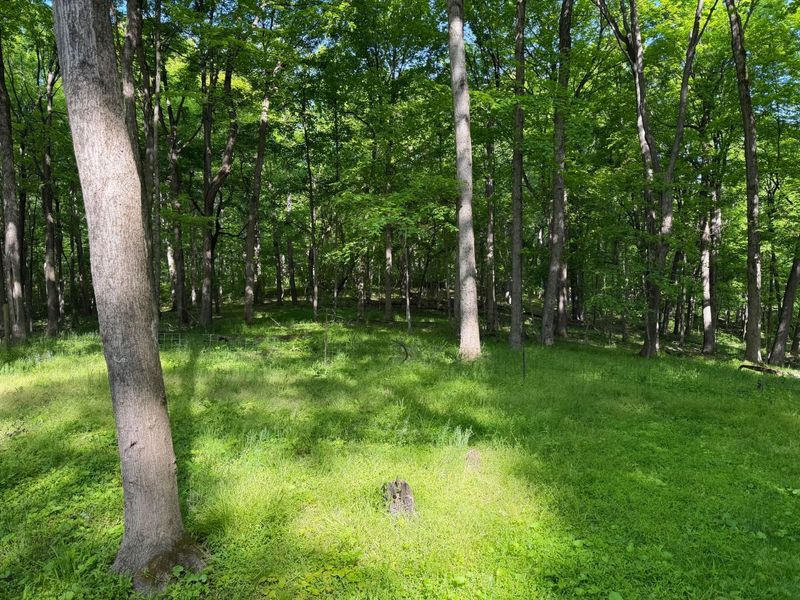 13807 Marshall Road, Rockbridge, OH 43149 Photo 2
