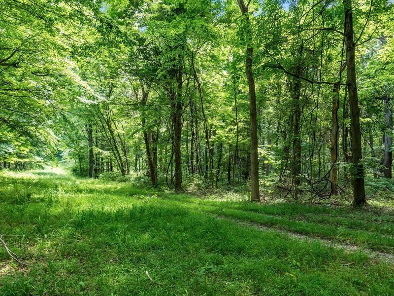 13807 Marshall Road, Rockbridge, OH 43149 Photo 20