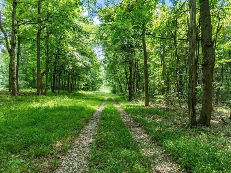 13807 Marshall Road, Rockbridge, OH 43149 Photo 21