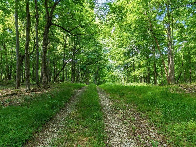 13807 Marshall Road, Rockbridge, OH 43149 Photo 22