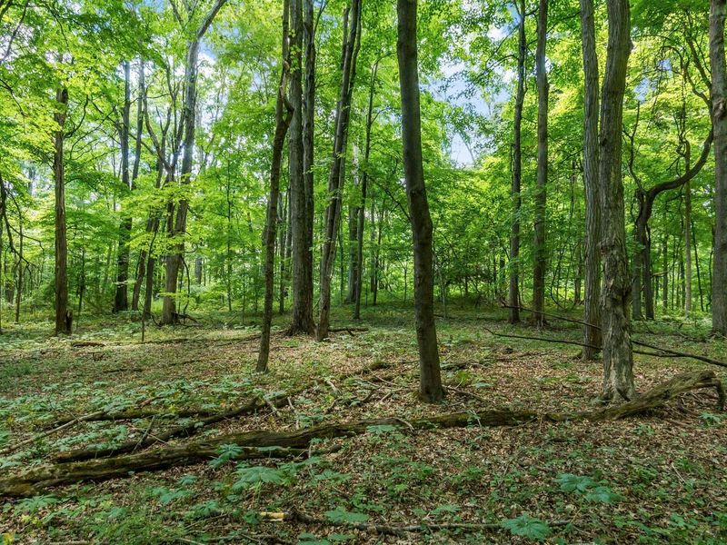 13807 Marshall Road, Rockbridge, OH 43149 Photo 23