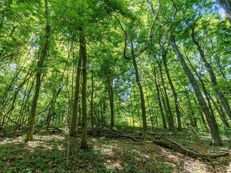 13807 Marshall Road, Rockbridge, OH 43149 Photo 25