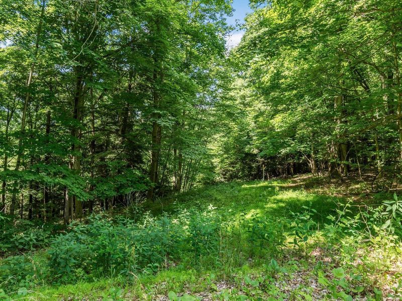 13807 Marshall Road, Rockbridge, OH 43149 Photo 26