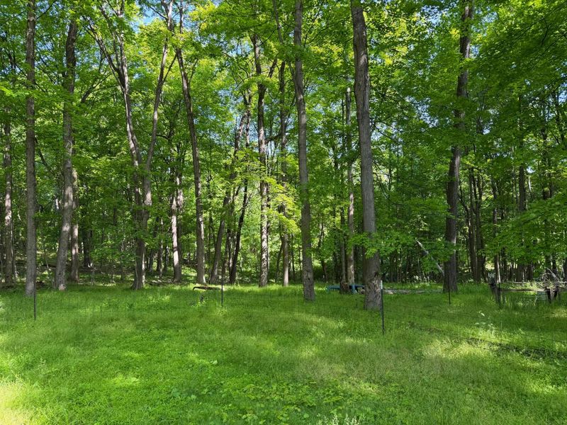 13807 Marshall Road, Rockbridge, OH 43149 Photo 3