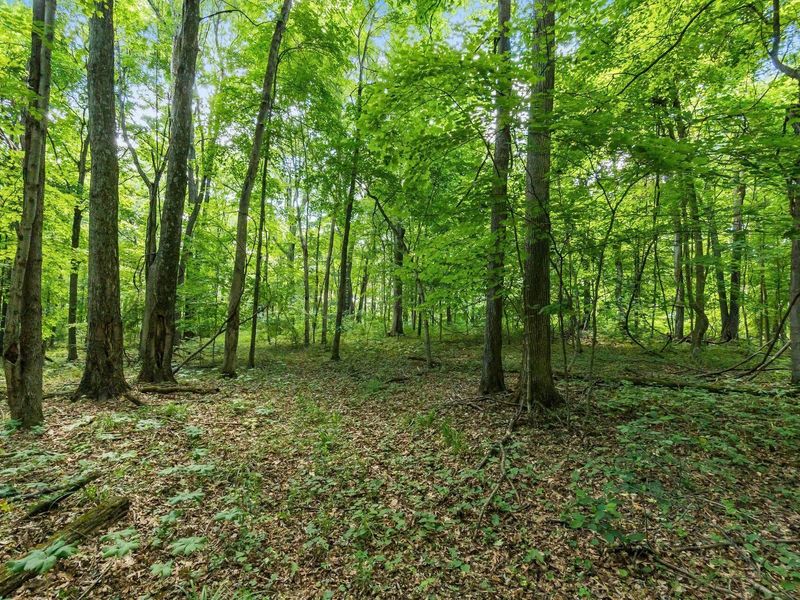 13807 Marshall Road, Rockbridge, OH 43149 Photo 32