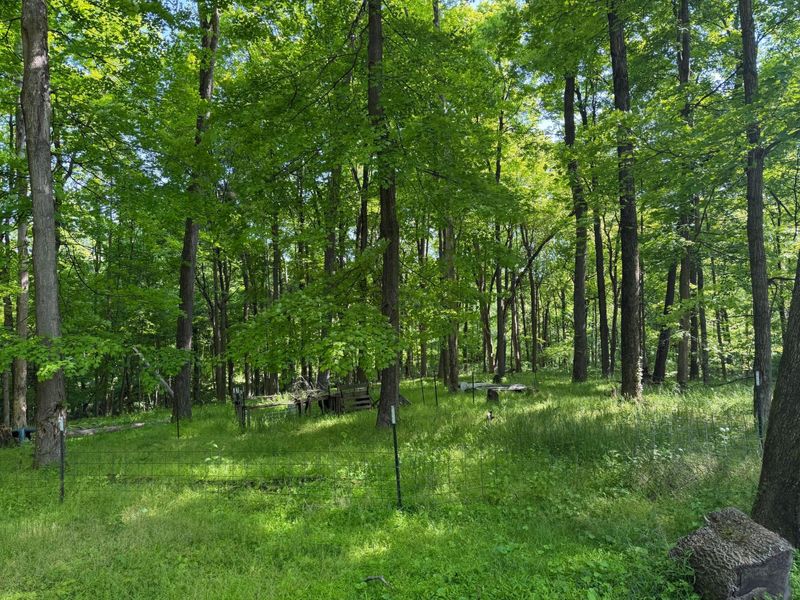 13807 Marshall Road, Rockbridge, OH 43149 Photo 4