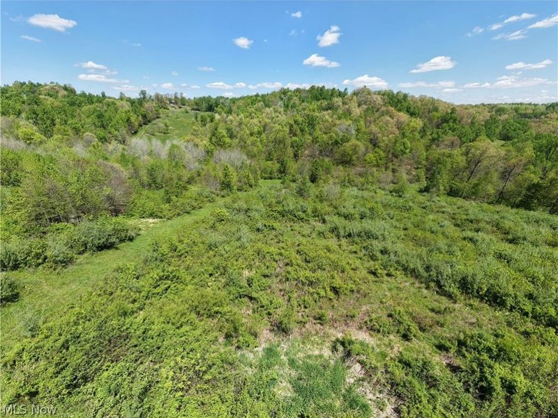 39843 County Road 33, Warsaw, OH 43844 Photo 26