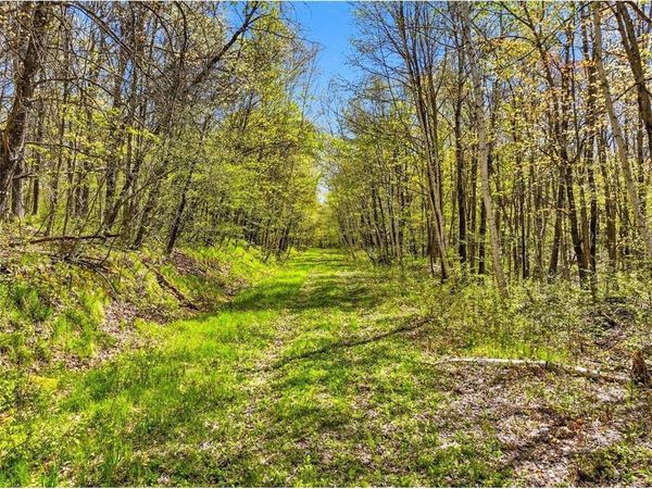 W6488 River Road, Trego, WI 54888