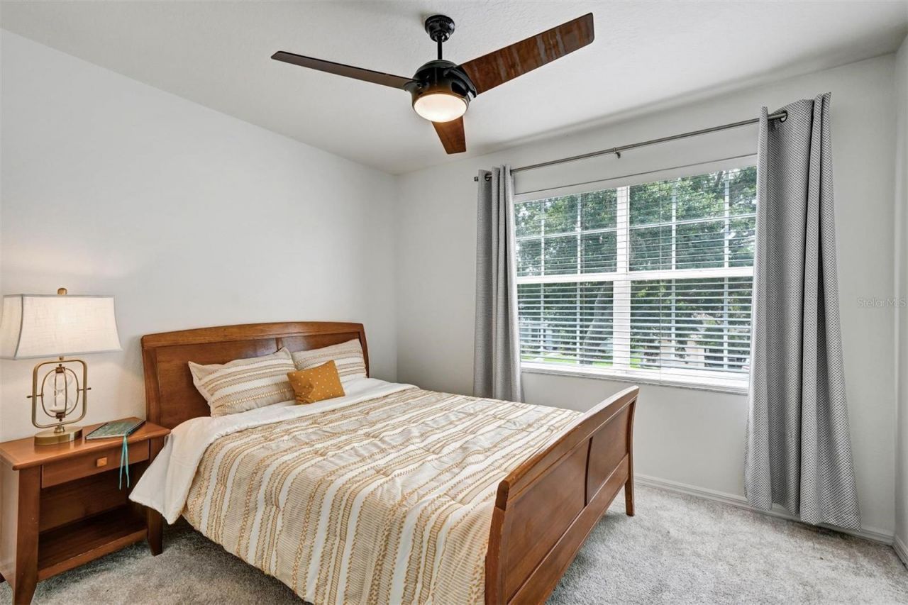 6011 Williamsburg Way, Tampa, FL 33625 Photo