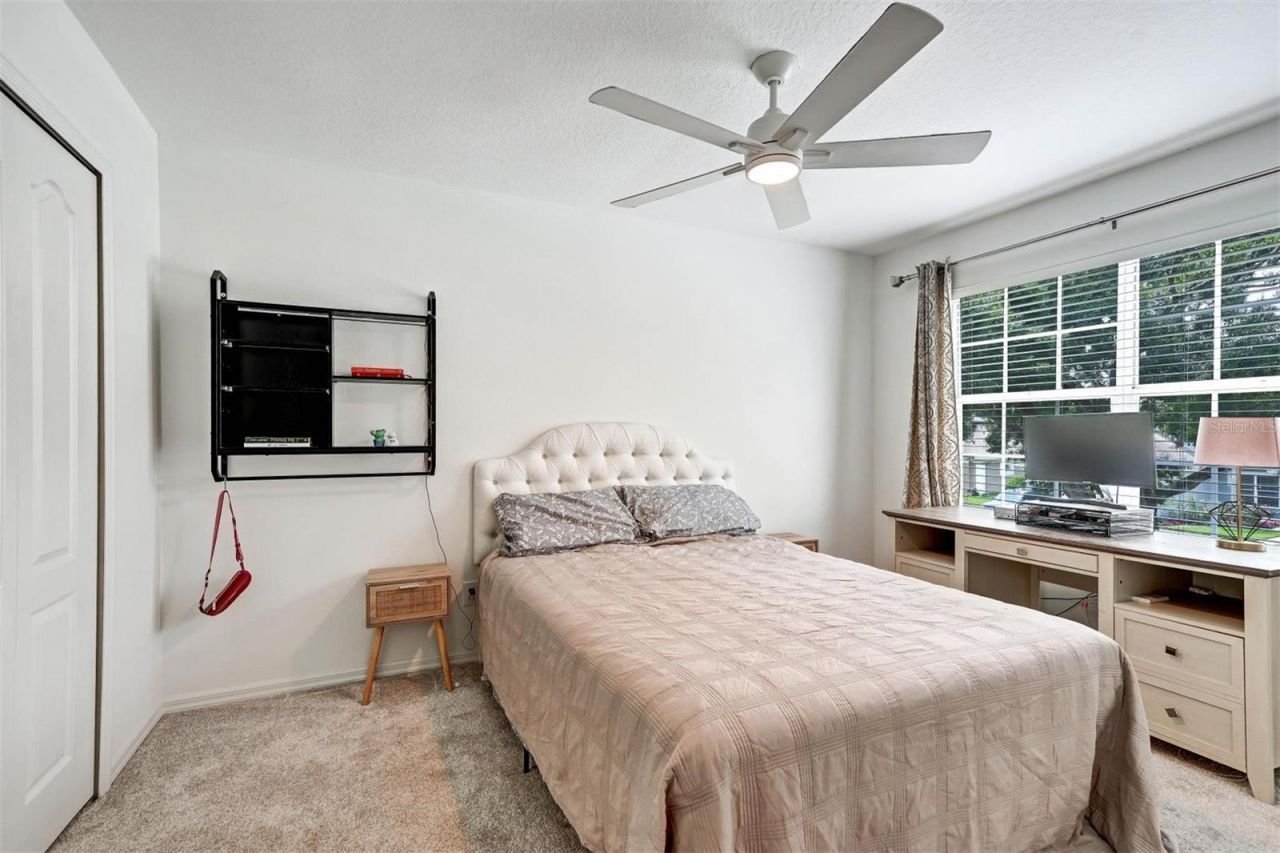6011 Williamsburg Way, Tampa, FL 33625 Photo