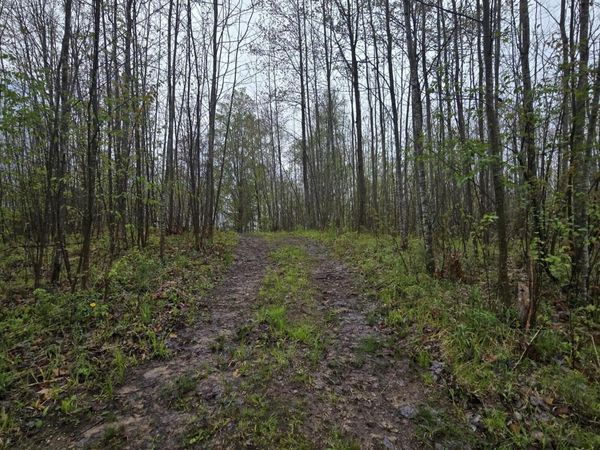 V/L M 115, Marion, MI 49665