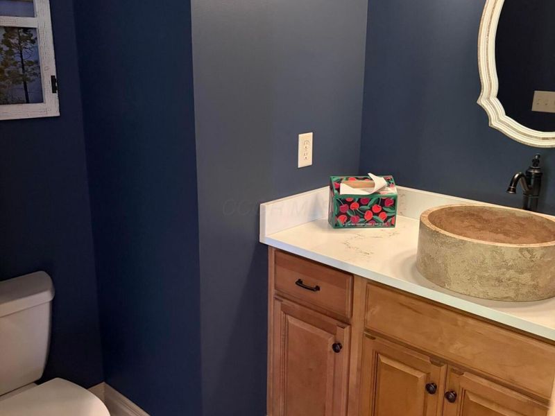 4488 Menderes Drive, Powell, OH 43065 Photo 15