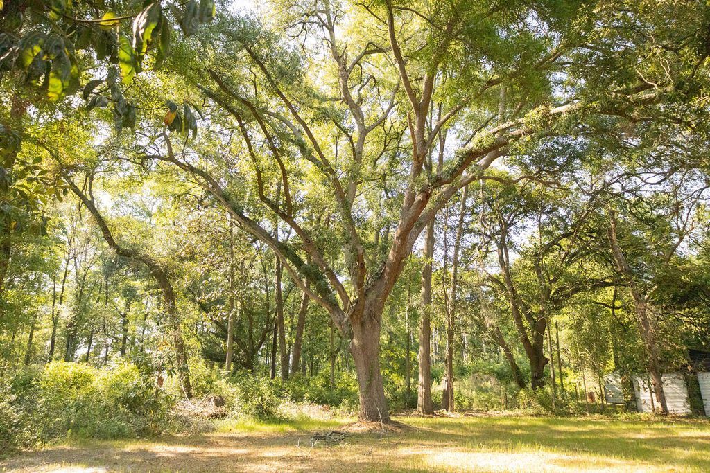 141 Mount Carmel Road Photo 16