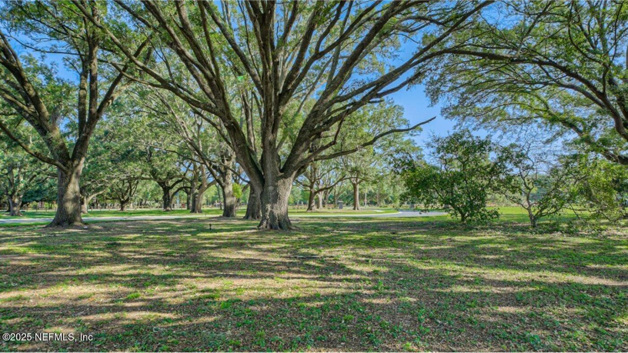 2664 Field Daisy Lane, Green Cove Springs, FL 32043 Photo