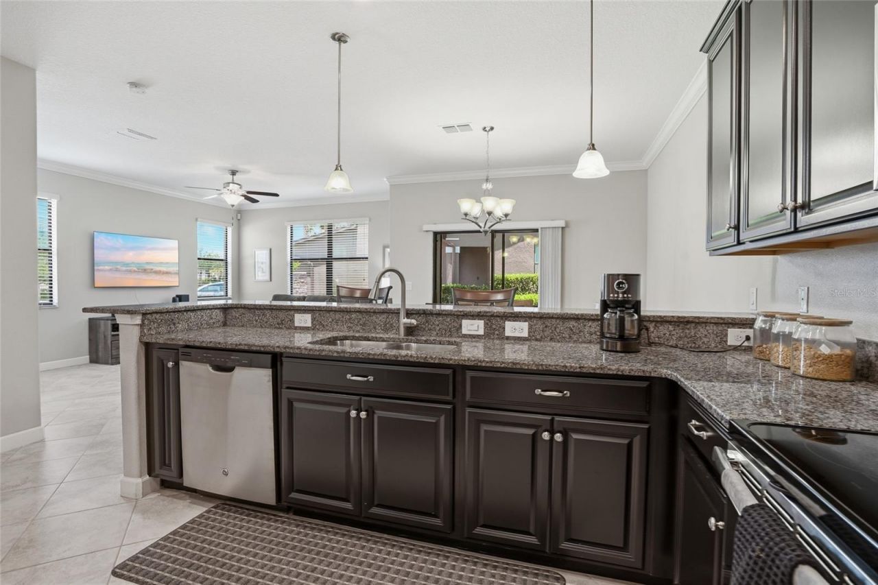 28580 Tranquil Lake Circle, Wesley Chapel, FL 33543 Photo