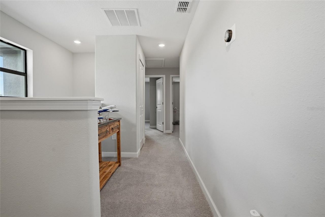 28580 Tranquil Lake Circle, Wesley Chapel, FL 33543 Photo
