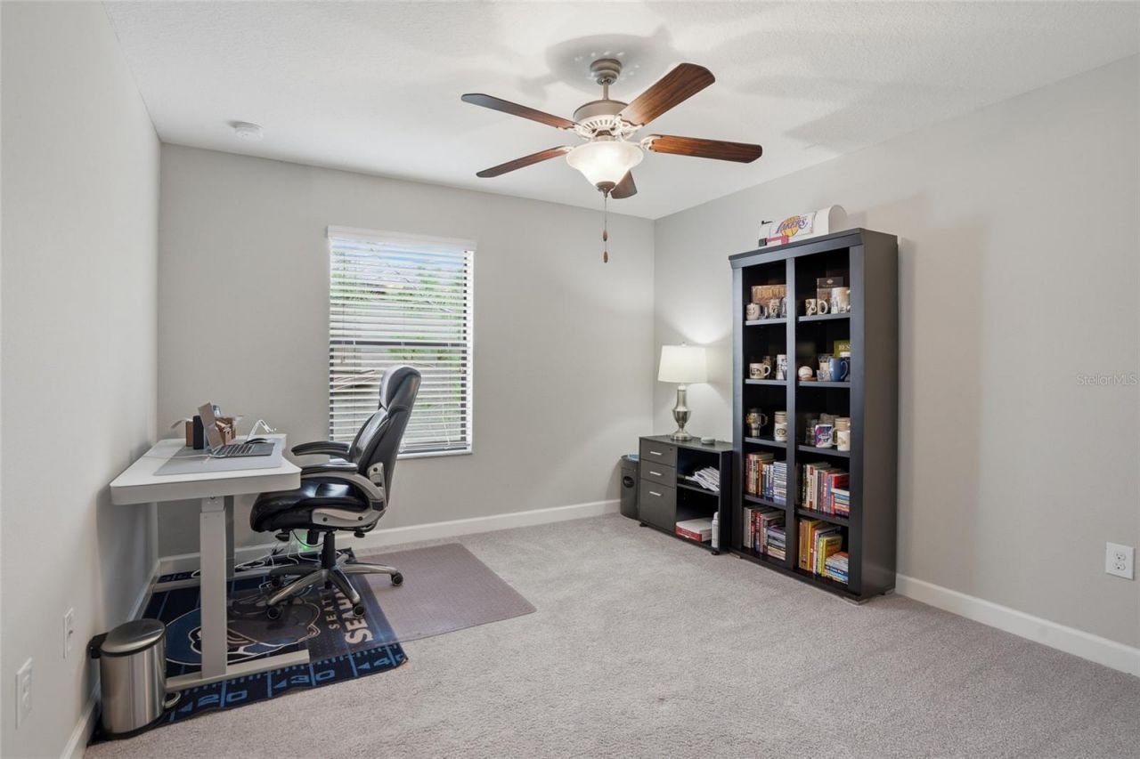 28580 Tranquil Lake Circle, Wesley Chapel, FL 33543 Photo