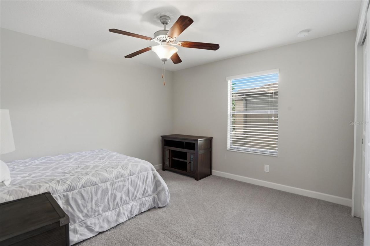 28580 Tranquil Lake Circle, Wesley Chapel, FL 33543 Photo
