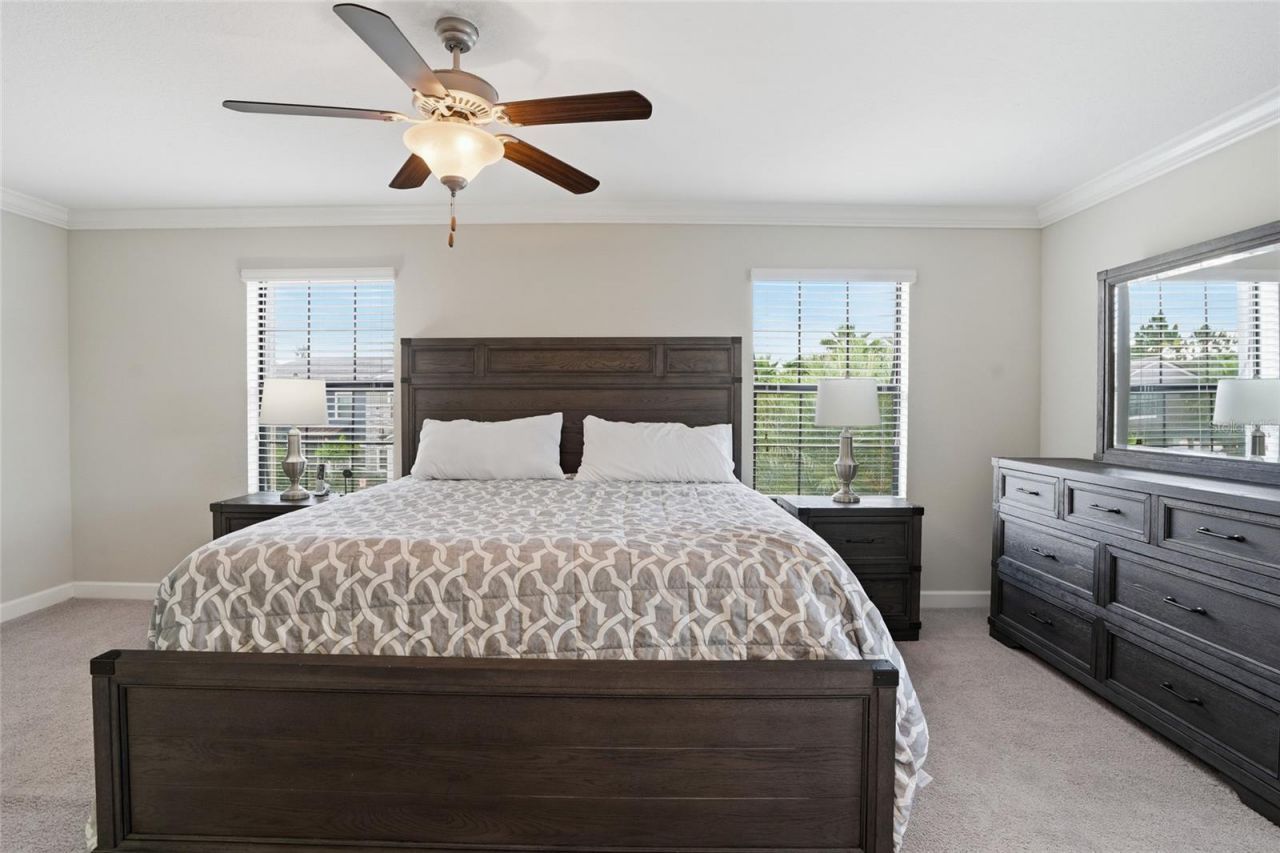 28580 Tranquil Lake Circle, Wesley Chapel, FL 33543 Photo
