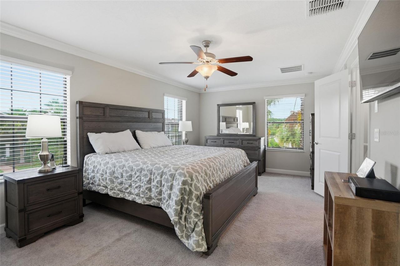 28580 Tranquil Lake Circle, Wesley Chapel, FL 33543 Photo