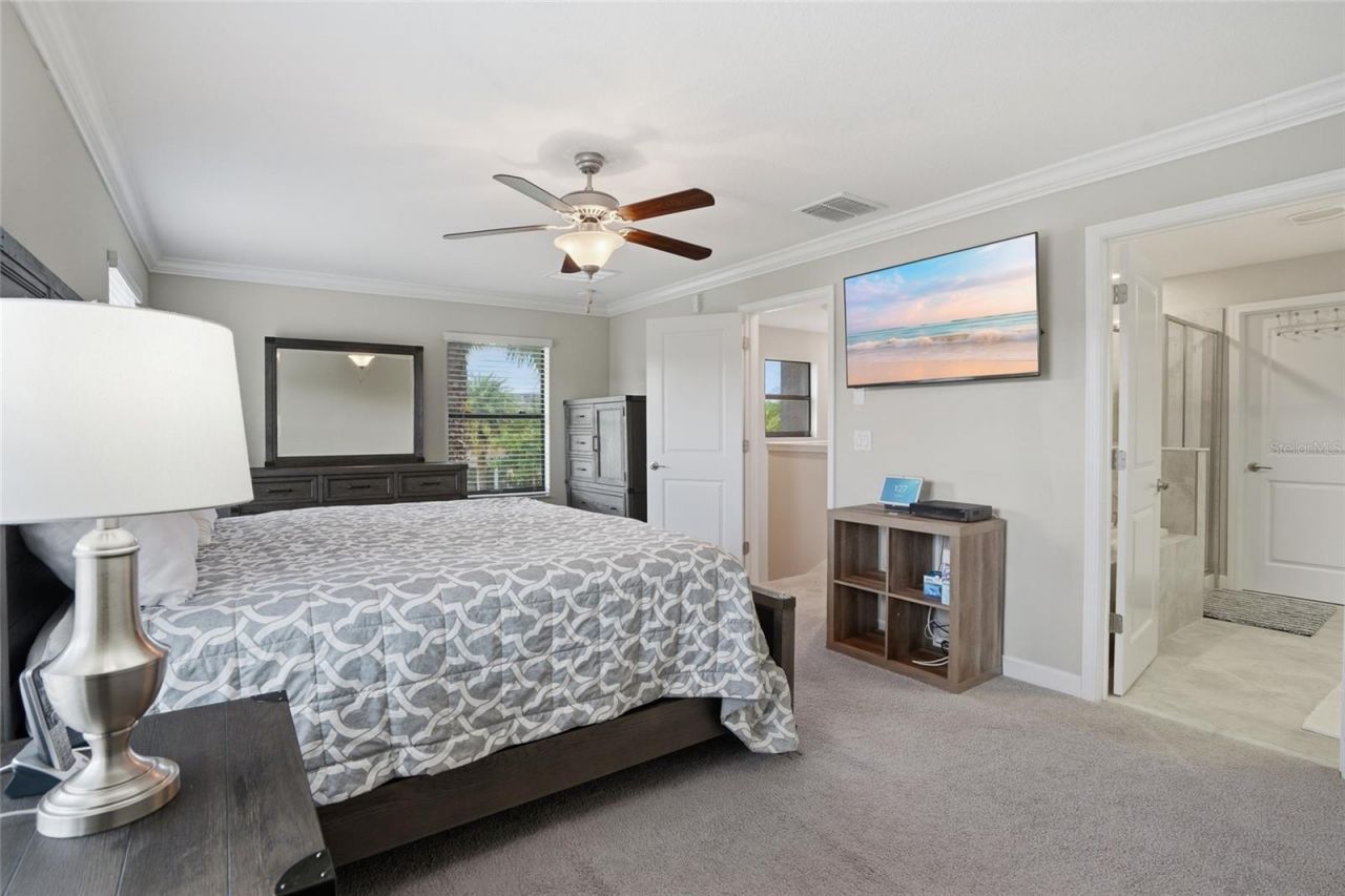 28580 Tranquil Lake Circle, Wesley Chapel, FL 33543 Photo