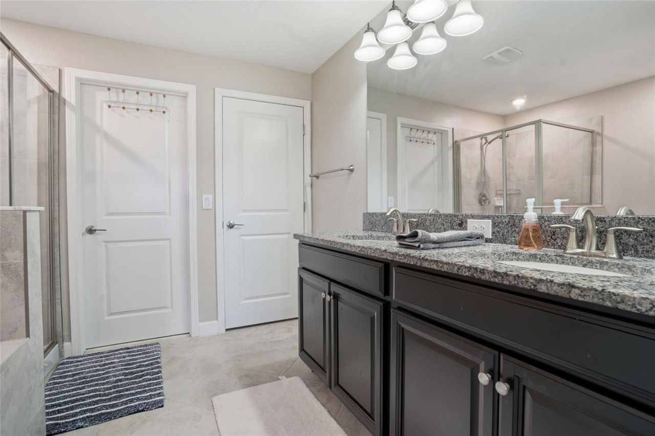 28580 Tranquil Lake Circle, Wesley Chapel, FL 33543 Photo