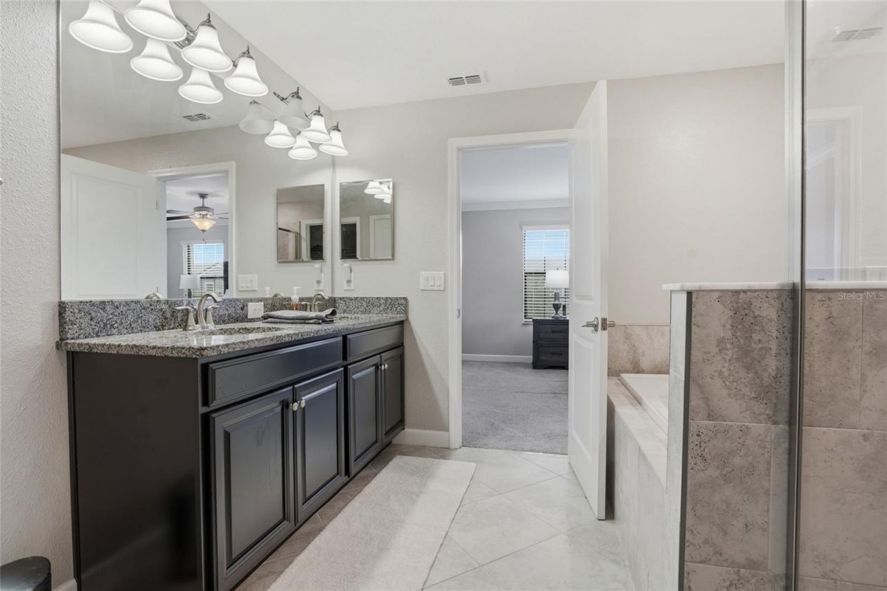 28580 Tranquil Lake Circle, Wesley Chapel, FL 33543 Photo