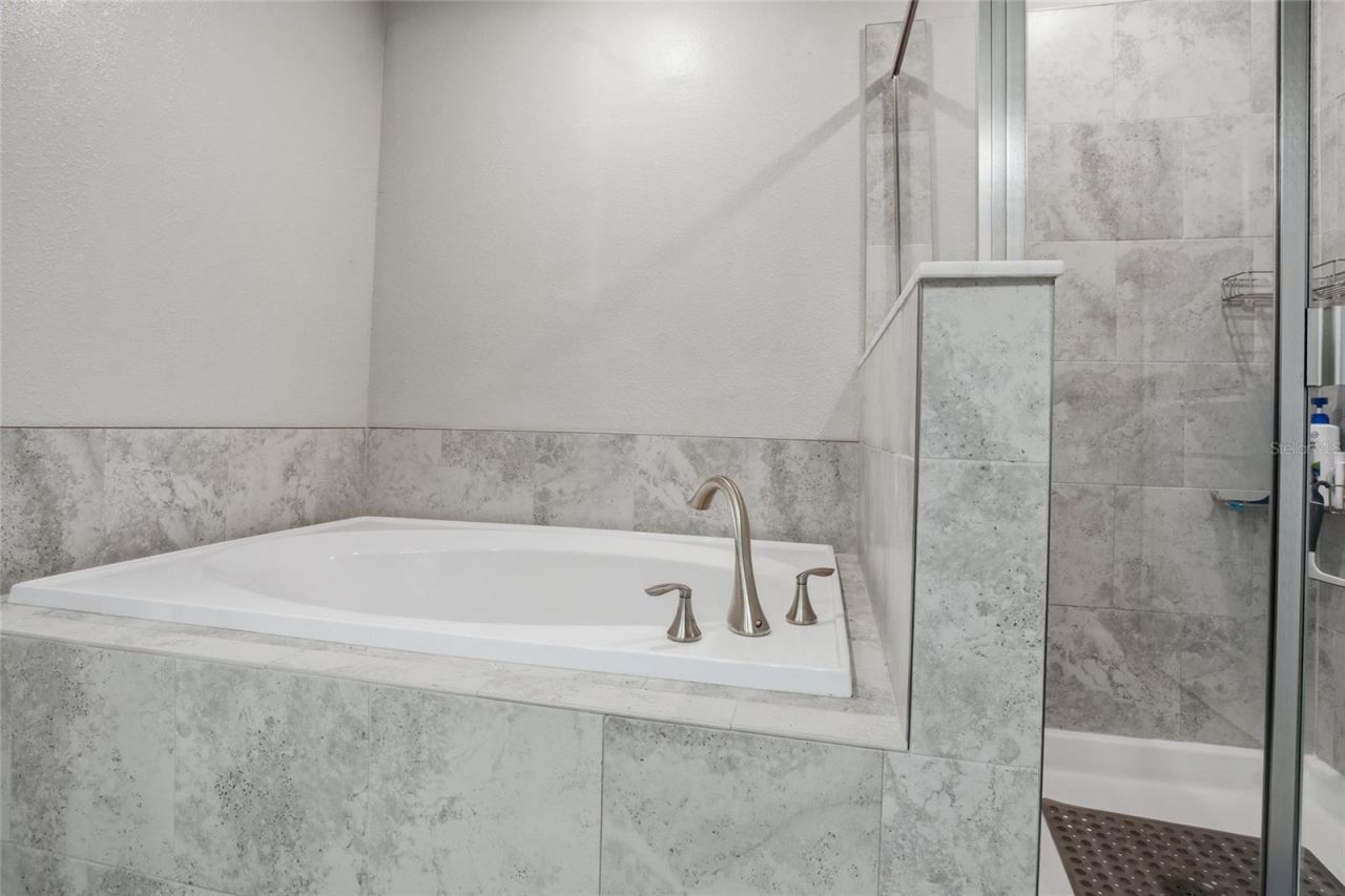 28580 Tranquil Lake Circle, Wesley Chapel, FL 33543 Photo