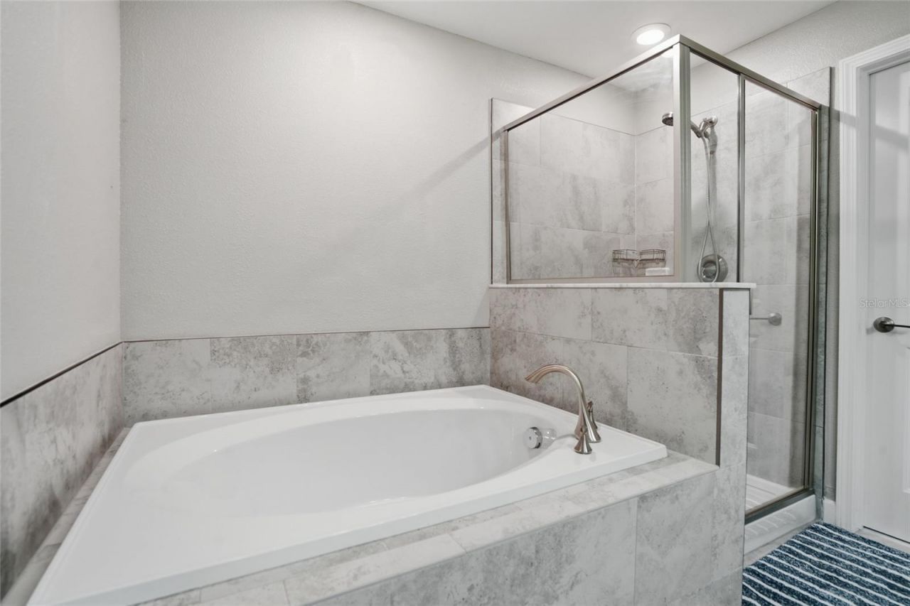 28580 Tranquil Lake Circle, Wesley Chapel, FL 33543 Photo