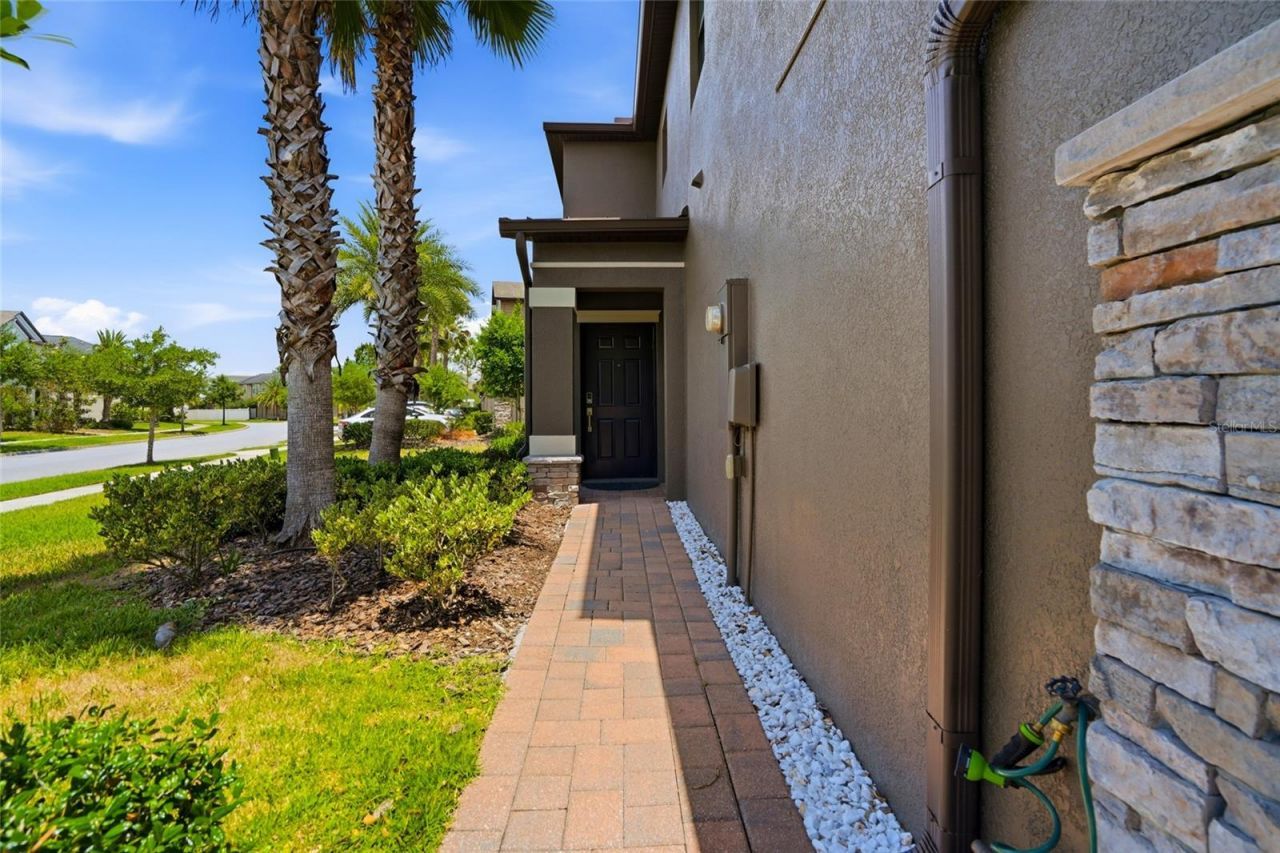 28580 Tranquil Lake Circle, Wesley Chapel, FL 33543 Photo
