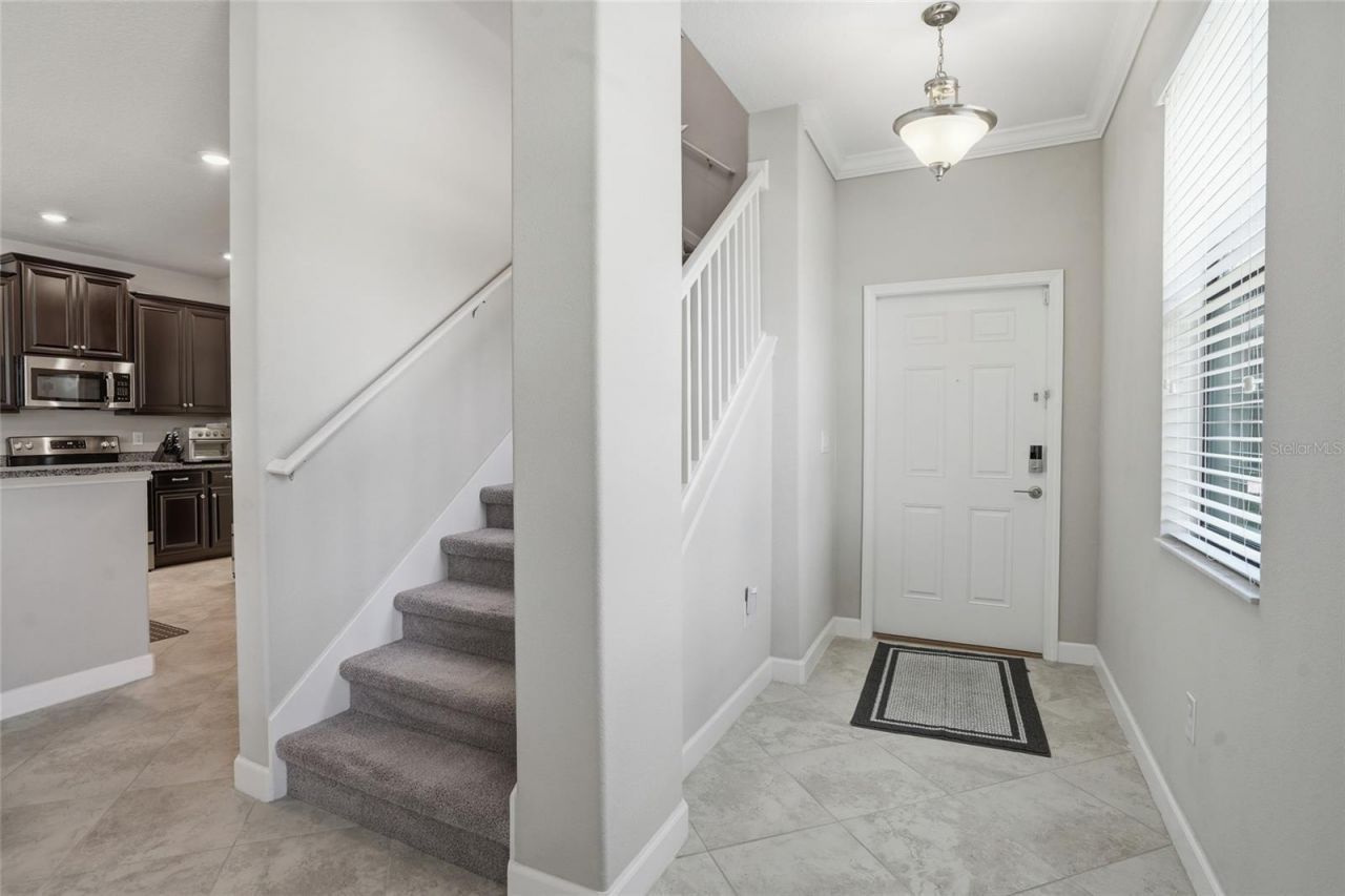 28580 Tranquil Lake Circle, Wesley Chapel, FL 33543 Photo