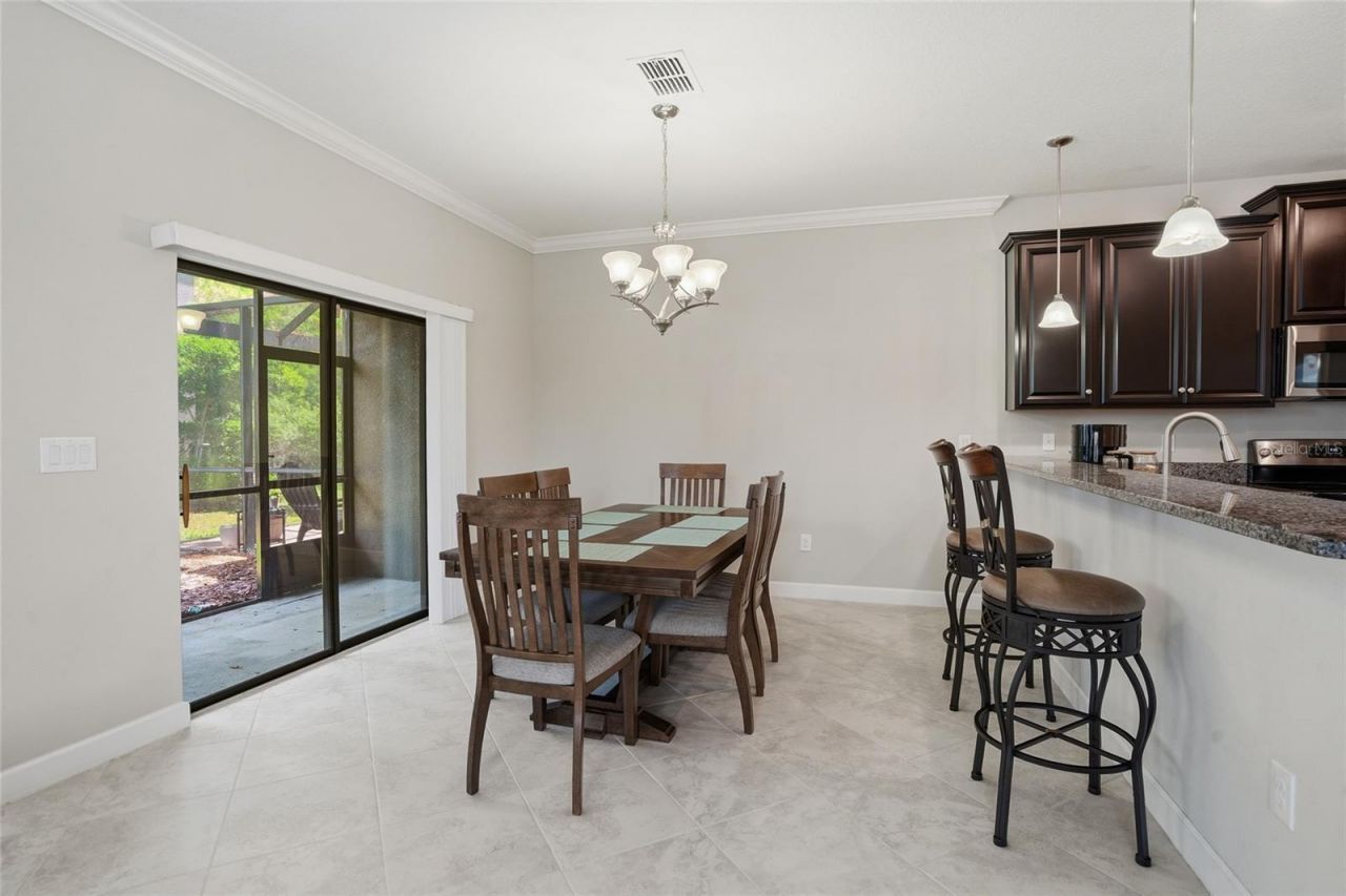 28580 Tranquil Lake Circle, Wesley Chapel, FL 33543 Photo