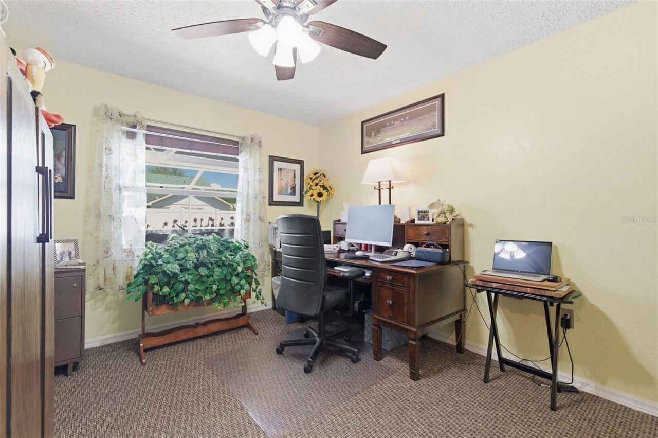 5408 Saltamonte Drive, New Port Richey, FL 34655 Photo
